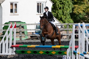 Class 3 -  Fences not above 2'3